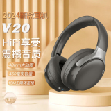 V20