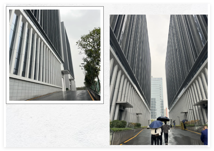 1765262932528143.png 1765262932528143.png