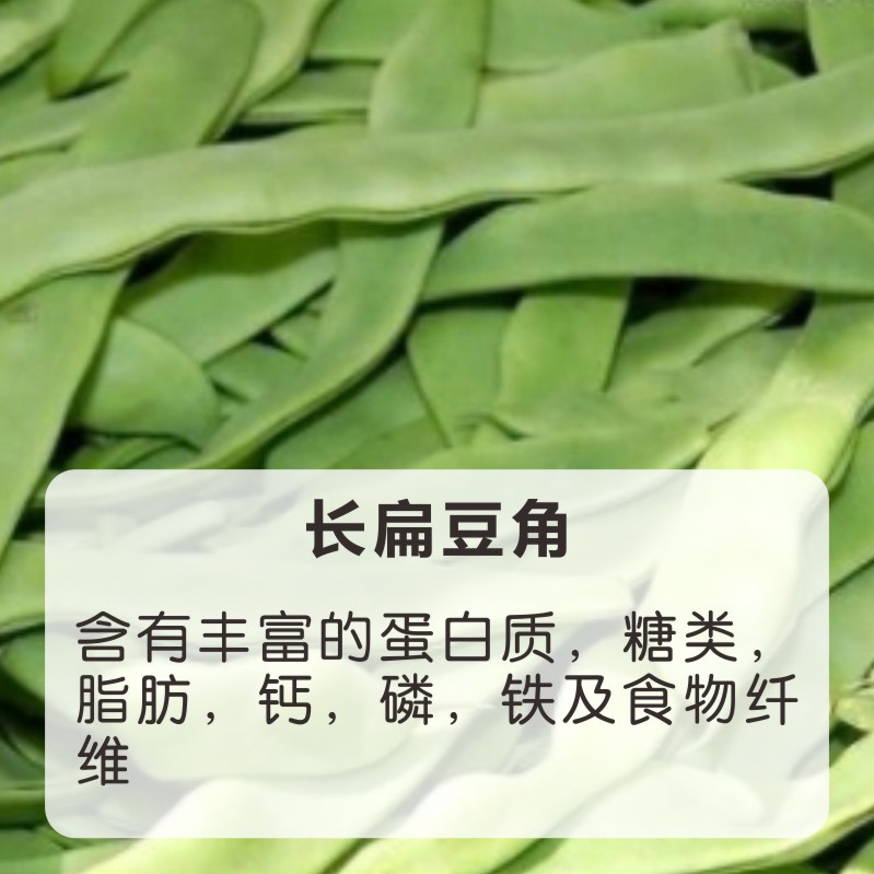 12010051Lⶹ.JPG