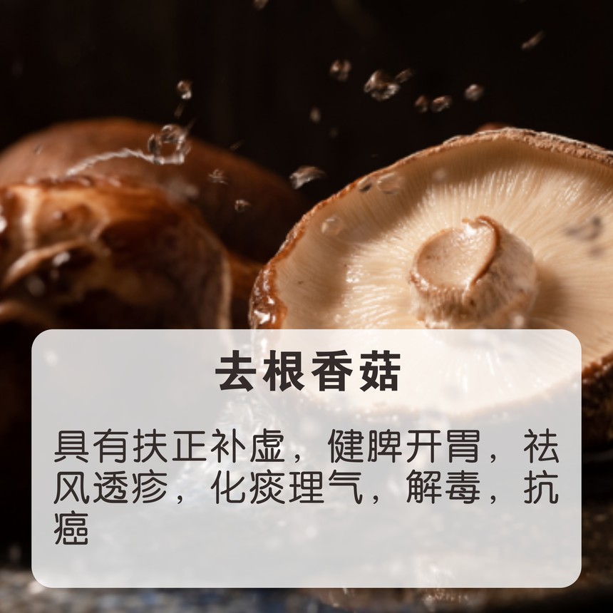 12010107ȥ㹽.JPG
