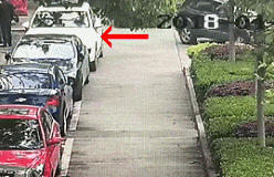 1592797612561952.gif