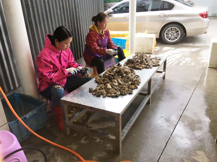 QQͼƬ20190412120735.jpg