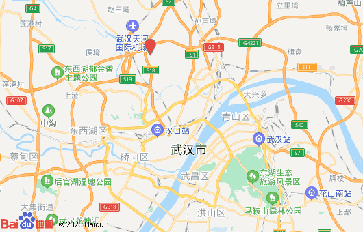 1605537345569455.png wuhan ditu.png