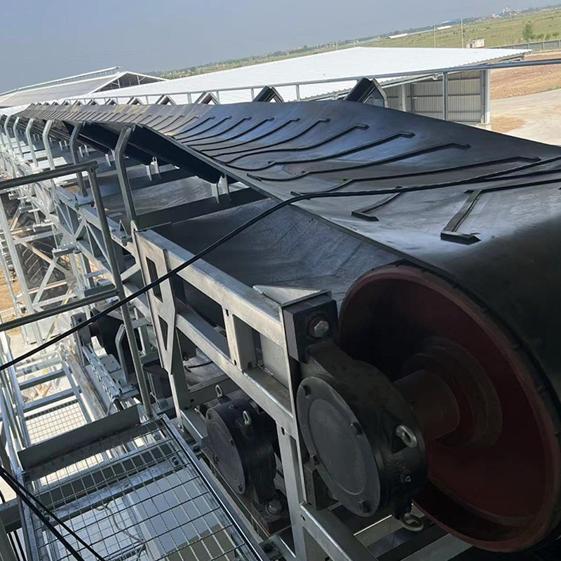 1766754217192442.jpg -1.jpg