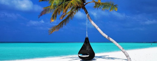 外交部驻港公署发言人就个别外媒失实报道提出严正...