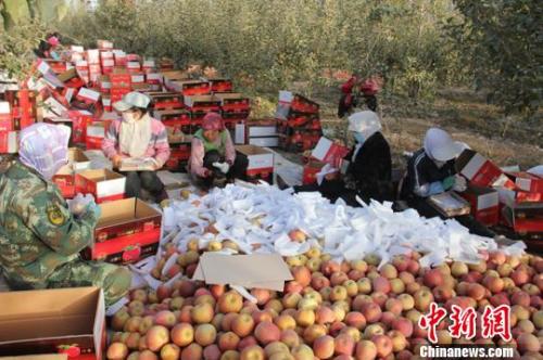 ����ͼ����ũ��æ�Ÿ��Ѿ�ժ������ƻ���ּ����״���װ�䡣�������� ��