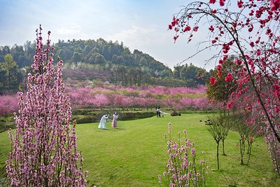 1740387330603104.jpg t04c661fbd08ef09e6a.jpg