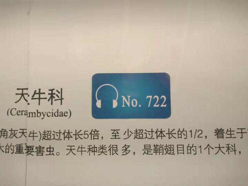 ͼƬ11.png