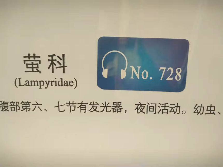 ͼƬ12.png