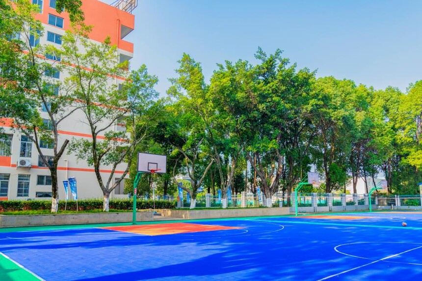 �Ĵ����켼ʦѧԺ2026����������ҵǰ������