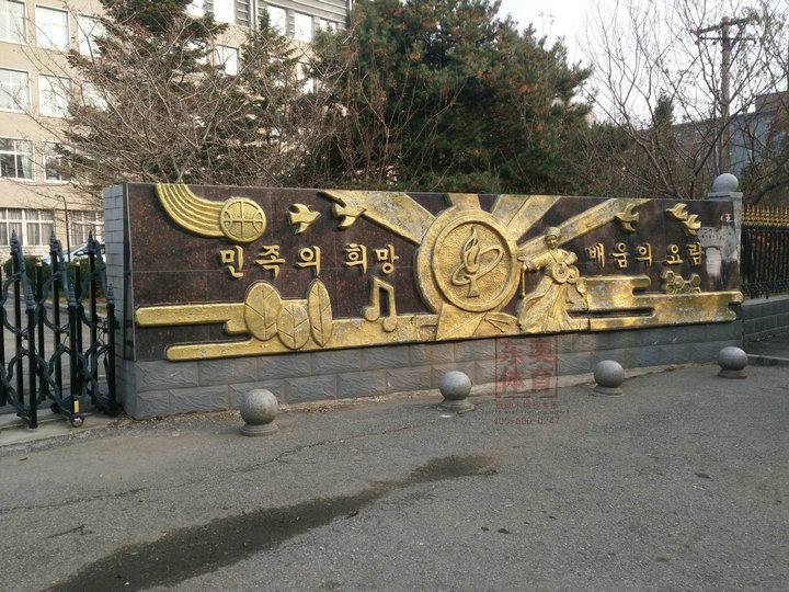 1589179864867995.jpg