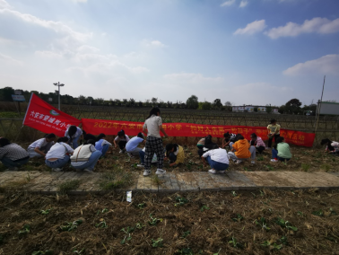 ���Ǹ�Сѧ�Ͷ�����ʵ����������1255.png