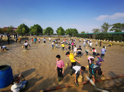 ���Ǹ�Сѧ�Ͷ�����ʵ����������1610.png