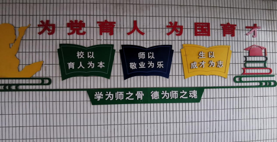 1668564595481822.png