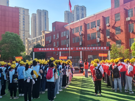 1715943591340639.png 望城岗小学组织开展2024年春学期劳动实践活动【稿件】197.png