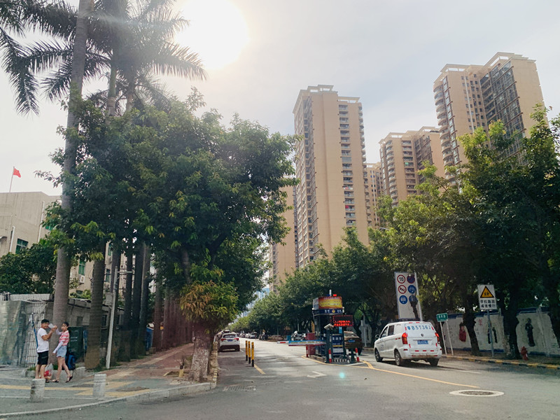 深圳村委统建楼.jpg 深圳村委统建楼.jpg