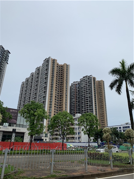 沙井中心海岸城隔壁 大型统建楼【中泰国际】花园 村委统建楼一手楼