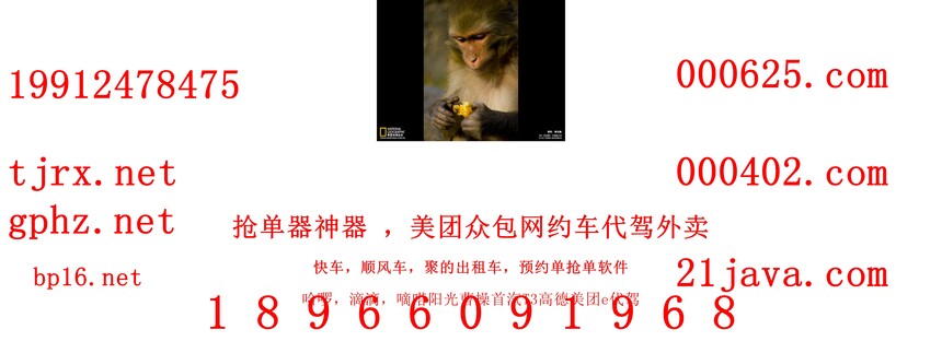 1765104012694754.jpg 12995.jpg