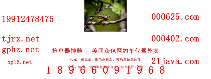 1765110661281721.jpg 12991.jpg