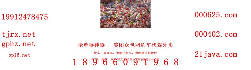 1765333734868615.jpg 14299.jpg