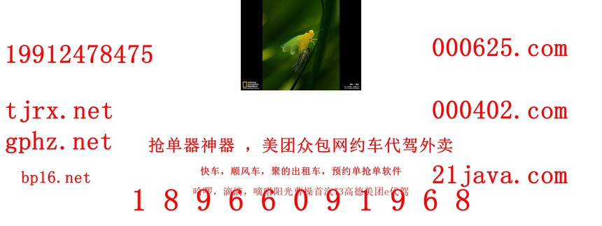 1765448286814768.jpg 13000.jpg