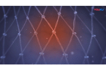 1597391232188447.gif 2.gif