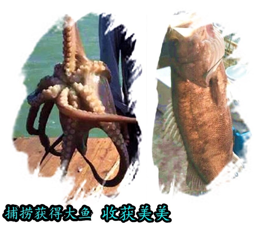 1595134936907775.jpg 221320069_副本_副本.jpg