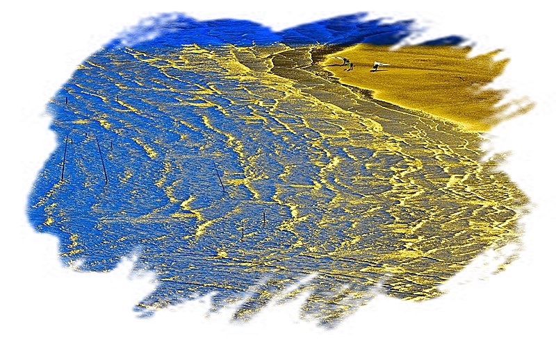 1595558383737096.jpg
