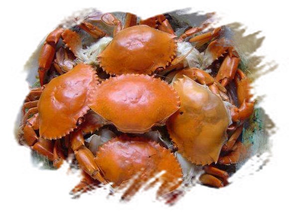 1596536310160431.jpg timg (3)_副本.jpg