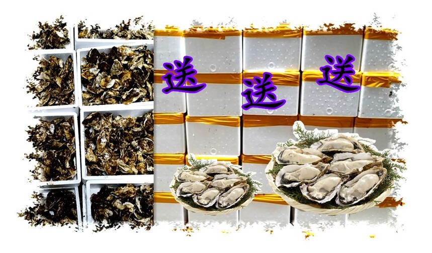 1596541459306937.jpg 微信图片_20200804193148_副本_副本.jpg
