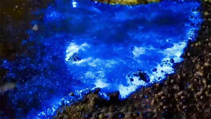 ΢ͼƬ_20220430200012.jpg