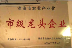 市级龙头企业