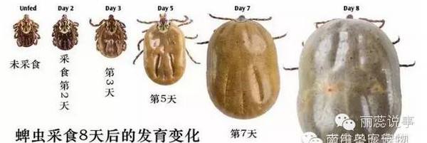 _(ti) x(chng).jpg