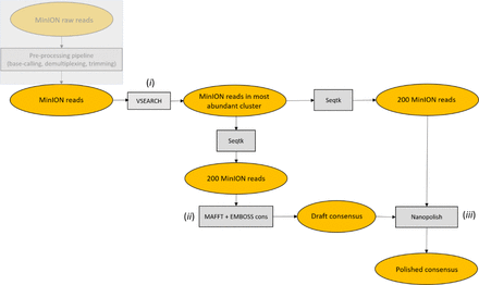 Figure 2: