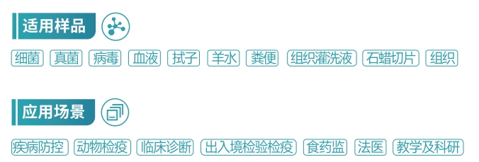 ƷӦó.png