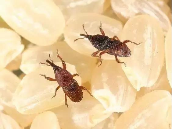 1591949318514128.jpg 微信圖片_20200612160820.jpg