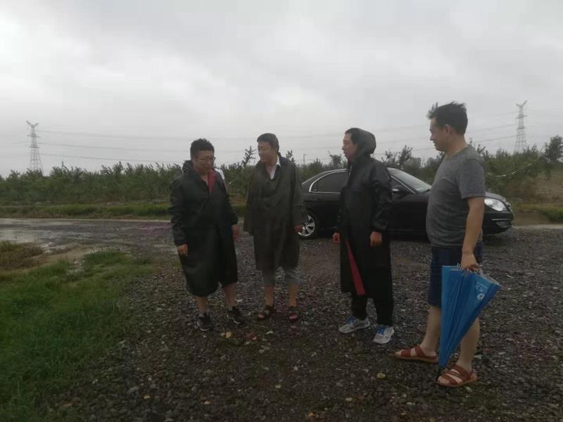 微信图片_20190812083339