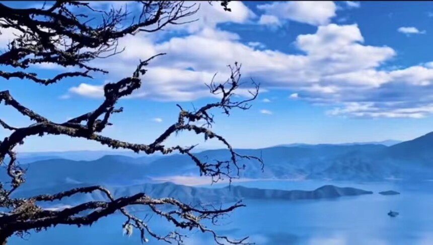 1774515136351065.jpg 微信图片_20231019124801.jpg