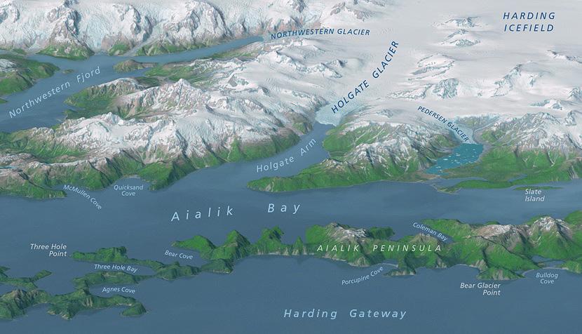 kenaifjords.jpeg