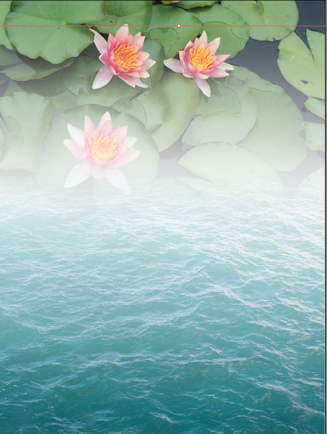 1583243523729153.png image.png