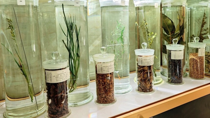 �Ĵ����»���ʦѧԺ��ҩѧרҵ2026���������