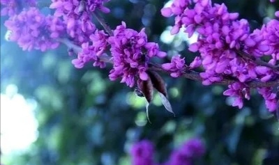97da8c09c960a9d9ad390eb0cf5f6c4.jpg