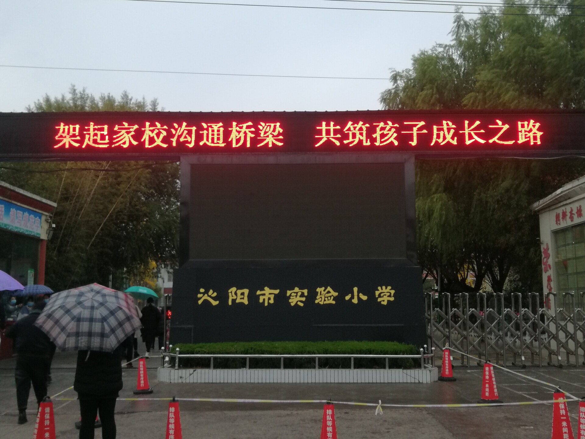 1606184413180789.jpg