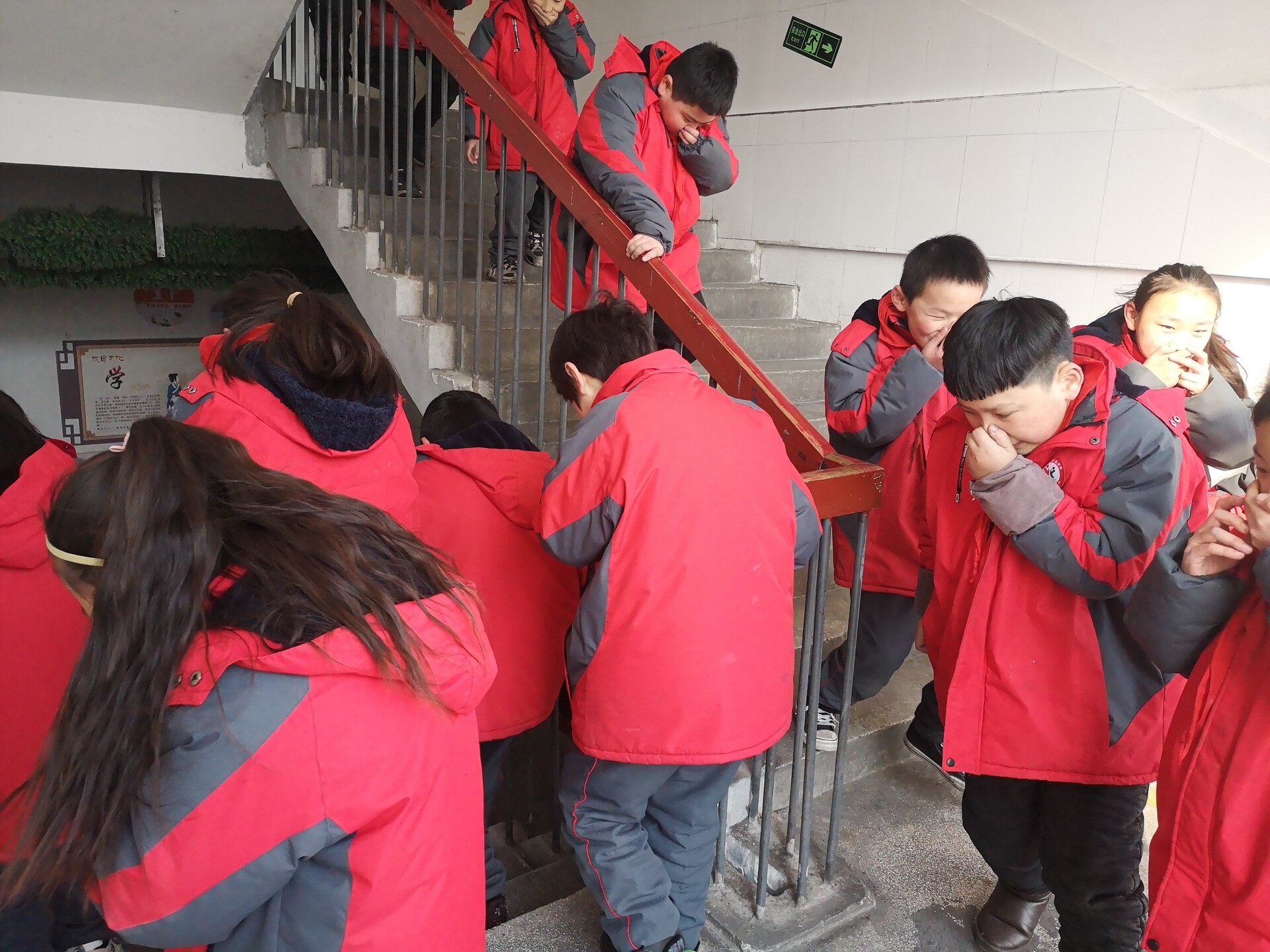 1608704689417644.jpg 1608704689417644.jpg