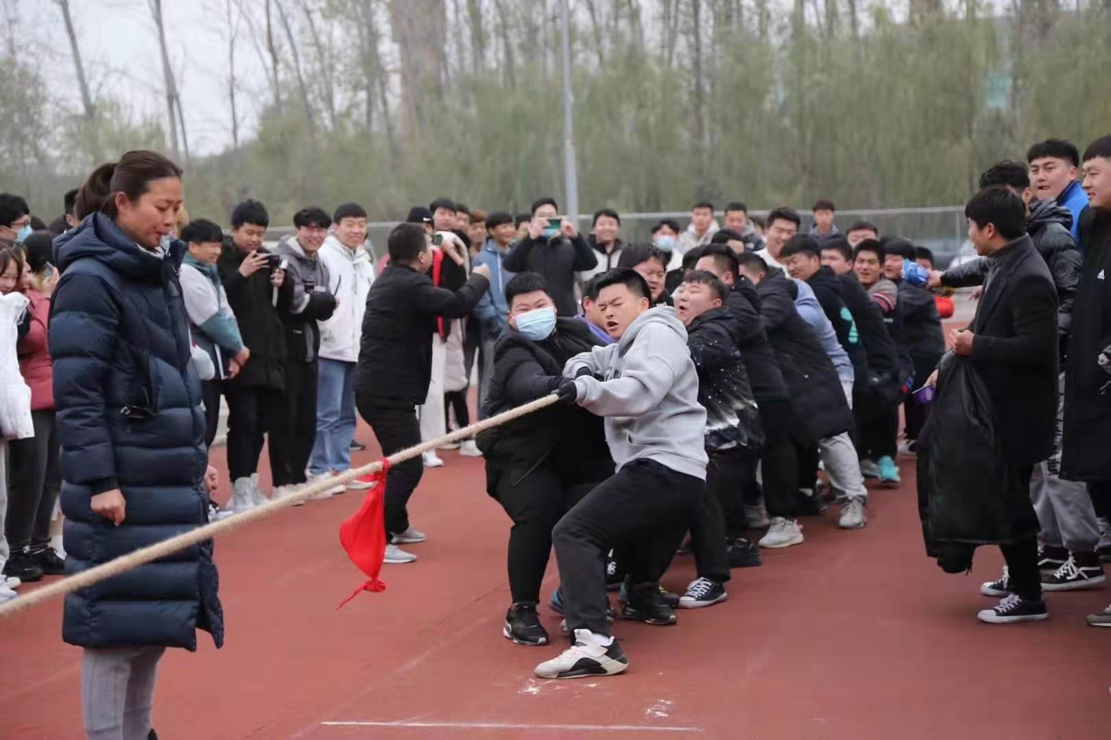 1608799301555783.png 1608799301555783.png