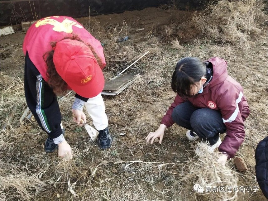 1614928027367370.jpg 3.jpg