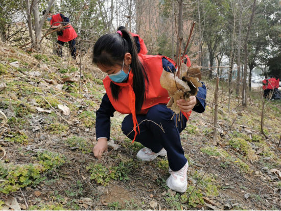 1615170347208827.png a42f0375d3cc952eb613623844460585_23982c9cda7ad50a5b98bf04de370241_8359.png