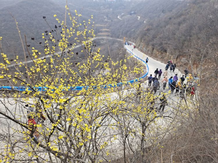 1615274780615830.jpg 2.jpg