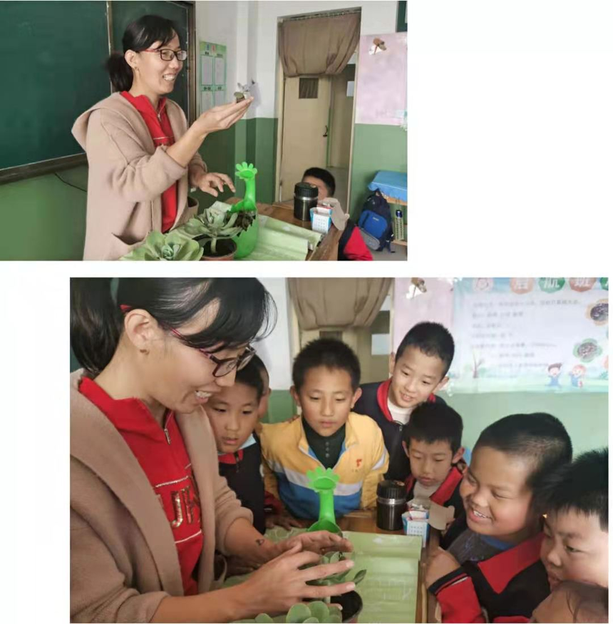 1615534450396398.png 小树1.png