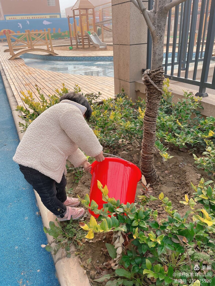 1615621556573358.jpg 3.jpg